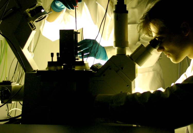 ERRORS OF THE HUMAN BODY - 1